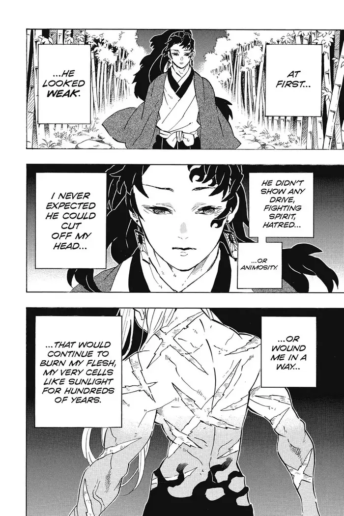 Demon Slayer Chapter 195 image 02_optimized